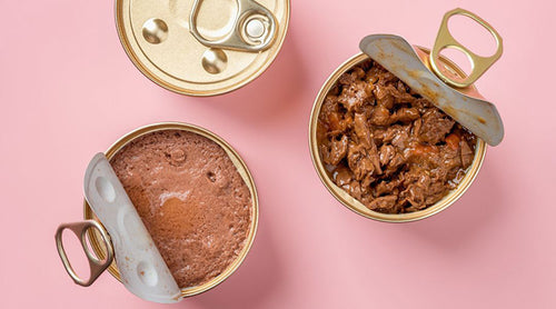 The Best Wet Dog Food for Your Dog